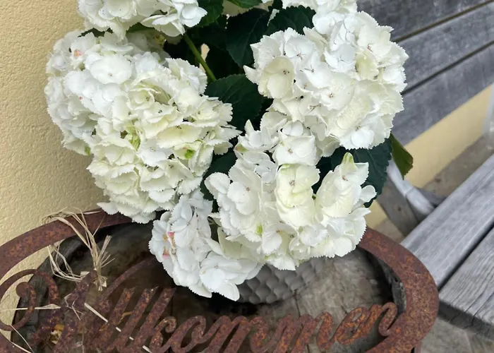 Steinbock Terrasse, Gartensauna, Garten, Grillplatz *