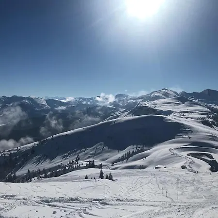 Steinbock Terrasse, Gartensauna, Garten, Grillplatz *